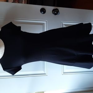 GAP Fit and Flare Peplum A-Line Dress